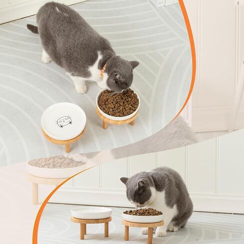 Shallow Elevated Cat Bowls,5.9 Inch Wide Raised Ceramic Cat Dishes with Bamboo Stand, Whisker Friendly Pet Water or Food Plates Feeding Station for Indoor Cats, Kitten(White,Set of 2) in Saudi Arabia