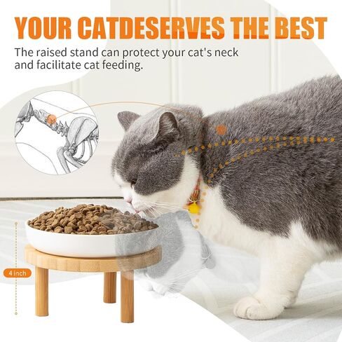 Lusifaco Shallow Wide Elevated Cat Bowls Whisker Fatigue (White, Set of 2) in Saudi Arabia