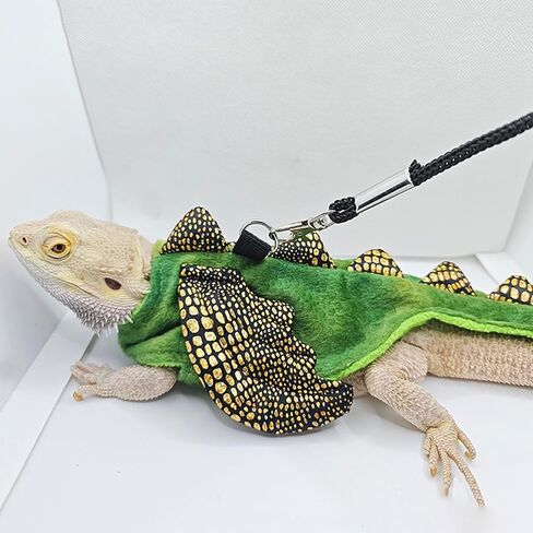 ADOGGYGO Bearded Dragon Harness Leash Set, Lizard Dragon Costume Adjustable Lizard Dinosaur Leash Harness for Bearded Dragon Reptiles (Green, Small) in Saudi Arabia