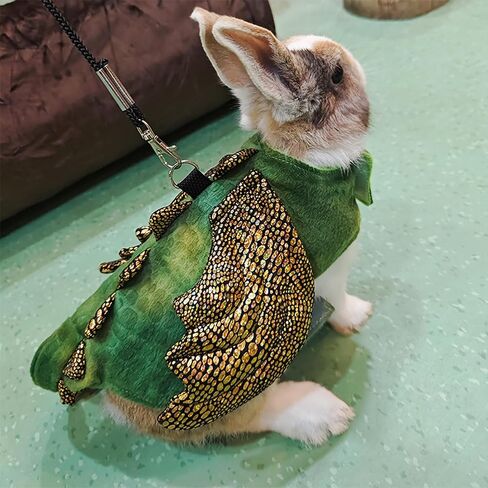 ADOGGYGO Bearded Dragon Harness Leash Set, Lizard Dragon Costume Adjustable Lizard Dinosaur Leash Harness for Bearded Dragon Reptiles (Green, Small) in Saudi Arabia