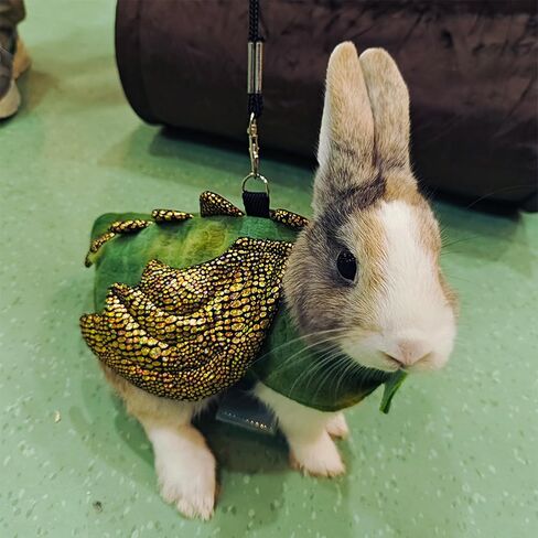 ADOGGYGO Bearded Dragon Harness Leash Set, Lizard Dragon Costume Adjustable Lizard Dinosaur Leash Harness for Bearded Dragon Reptiles (Green, Small) in Saudi Arabia