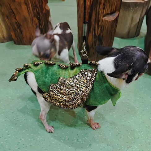 ADOGGYGO Bearded Dragon Harness Leash Set, Lizard Dragon Costume Adjustable Lizard Dinosaur Leash Harness for Bearded Dragon Reptiles (Green, Small) in Saudi Arabia