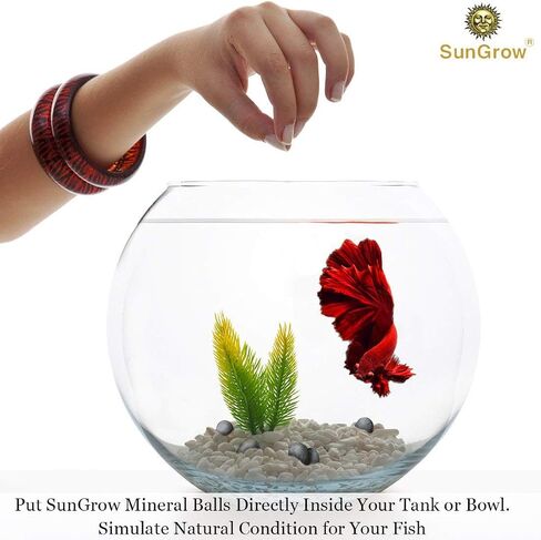 SunGrow Calcium-Rich Balls for Betta, Water Conditioner with Over 30 Beneficial Elements, Freshwater Fish Tank Decorations, 10 Pcs per Pack in Kuwait