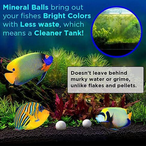 SunGrow Calcium-Rich Balls for Betta, Water Conditioner with Over 30 Beneficial Elements, Freshwater Fish Tank Decorations, 10 Pcs per Pack in Kuwait