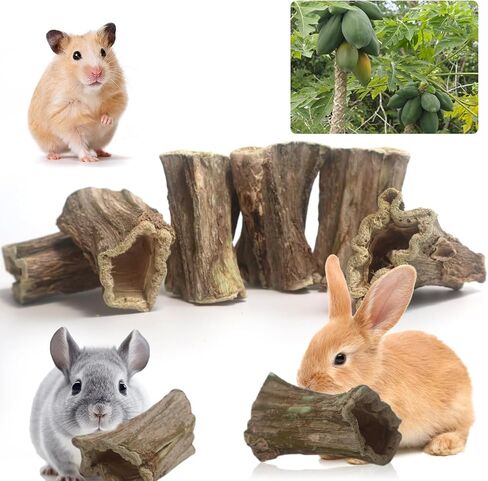 ألعاب مضغ على شكل أرنب، 6 قطع من عصا خشب البابايا العضوية للحيوانات القوارض الصغيرة، خنازير غينيا، الشنشيلا، الأرنب، الهامستر، الفئران، الجربوع، مضغ صحي لطحن الأسنان يعامل الوجبات الخفيفة المولية in Kuwait