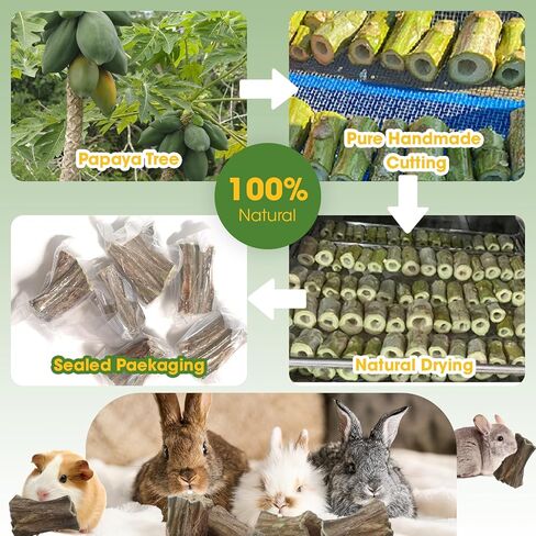 ألعاب مضغ على شكل أرنب، 6 قطع من عصا خشب البابايا العضوية للحيوانات القوارض الصغيرة، خنازير غينيا، الشنشيلا، الأرنب، الهامستر، الفئران، الجربوع، مضغ صحي لطحن الأسنان يعامل الوجبات الخفيفة المولية in Kuwait