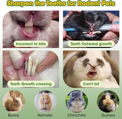 ألعاب مضغ على شكل أرنب، 6 قطع من عصا خشب البابايا العضوية للحيوانات القوارض الصغيرة، خنازير غينيا، الشنشيلا، الأرنب، الهامستر، الفئران، الجربوع، مضغ صحي لطحن الأسنان يعامل الوجبات الخفيفة المولية in Kuwait