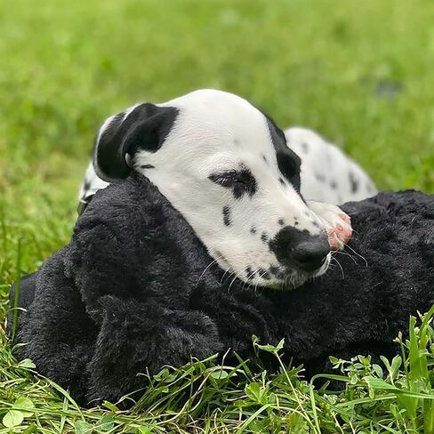 SmartPetLove Original Snuggle Puppy Heartbeat Stuffed Toy for Dogs - Pet Anxiety Relief and Calming Aid - Comfort Toy for Behavioral Training - Plus 6 Heat Packs (Biscuit) in Saudi Arabia