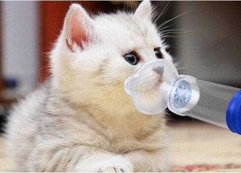 Cat/Dog Inhaler Spacer,Cat Inhaler Feline Aerosol Chamber,Come with 2 Size Mask for Cat/Dog and Instruction (Two mask for cat/Dog) in Saudi Arabia