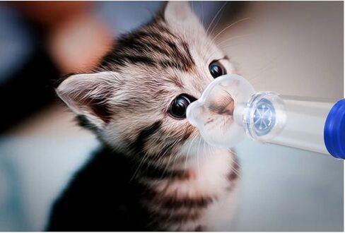 Cat/Dog Inhaler Spacer,Cat Inhaler Feline Aerosol Chamber,Come with 2 Size Mask for Cat/Dog and Instruction (Two mask for cat/Dog) in Saudi Arabia