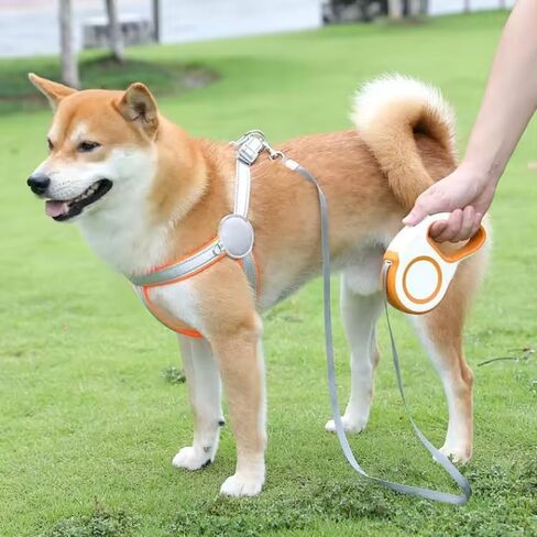 Time4Pets New Retractable Dog Leash Tangle-Free | 16ft Strong Nylon Tape | One-Handed Braking System | Supports up to 30 kg / 65 lb | 180° Non-Coiling and Non-Clamping Tape in Saudi Arabia