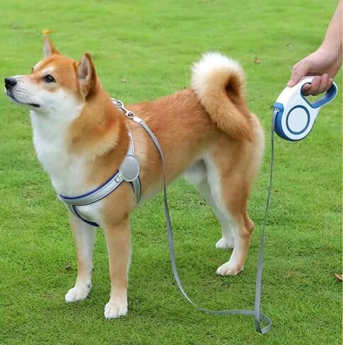 Time4Pets New Retractable Dog Leash Tangle-Free | 16ft Strong Nylon Tape | One-Handed Braking System | Supports up to 30 kg / 65 lb | 180° Non-Coiling and Non-Clamping Tape in Saudi Arabia