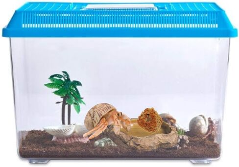 Needzo Hermit Crab Natural Sponge for Water Dish, Drinking and Tank Humidity, Size May Vary, Pack of 5 in Saudi Arabia
