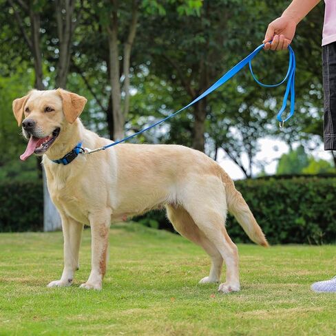 مقود مقاوم للماء للكلاب، مقاود متينة مقاومة للرائحة بطول 5/6 قدم مع خطافات معدنية قوية تناسب الكلاب الصغيرة والمتوسطة أو الكبيرة (أزرق، عرض 6 أقدام - 1 بوصة) in Kuwait