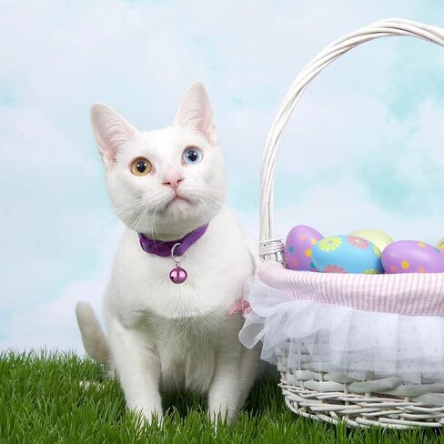 24 Sets Multicolour Cat Bells Dog Bells Cat Dog Collar Bell Cat Bells for Cat and Accessories Charms Training Dog Collar Pendant for Indoor Dogs Cats Pets DIY Crafts Collars, Harnesses and Leashes in Saudi Arabia