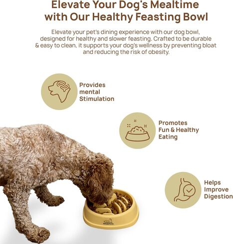 Brix&Nova Dog Bowl Slow Feeder, 2 Cups, Slow Feeder Dog Bowls Small Breed, Medium Breed, X- Small Breed, Dog Bowl to Slow Down Eating, Dog Puzzle Feeder, Yellow in Saudi Arabia