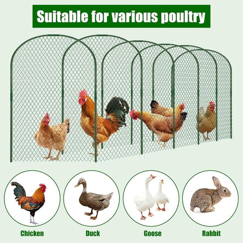 نفق دجاج بطول 2.8 × 19.6 قدم للفناء، حظيرة دجاج خارجية محمولة، تشغيل نفق حظيرة الدجاج سريع التركيب، حاوية للحيوانات الأليفة لقلم تشغيل الدجاج للدجاج في ساحة المزرعة، والبط، والأرنب in Kuwait
