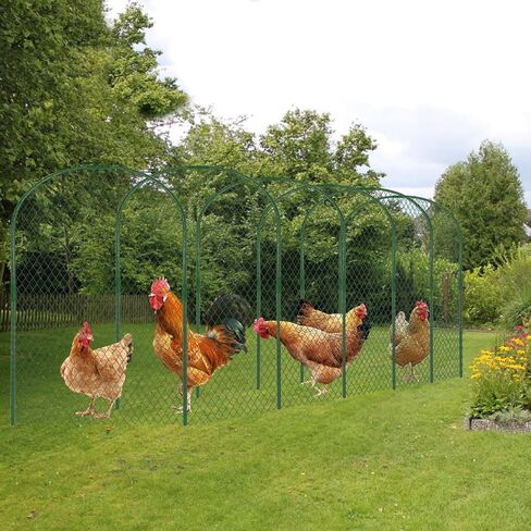 نفق دجاج بطول 2.8 × 19.6 قدم للفناء، حظيرة دجاج خارجية محمولة، تشغيل نفق حظيرة الدجاج سريع التركيب، حاوية للحيوانات الأليفة لقلم تشغيل الدجاج للدجاج في ساحة المزرعة، والبط، والأرنب in Kuwait
