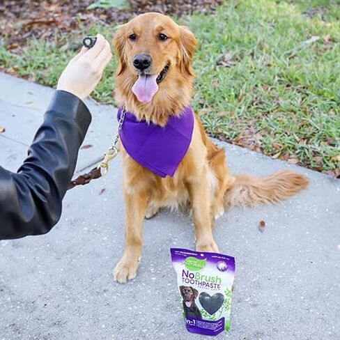 Every Day Naturals Dog Dental Chew, No Brush Toothpaste for Medium Breeds, Freshens Breath, Unique Texture Helps Reduce Plaque & Tartar, 14 oz, 1 Pack in Kuwait