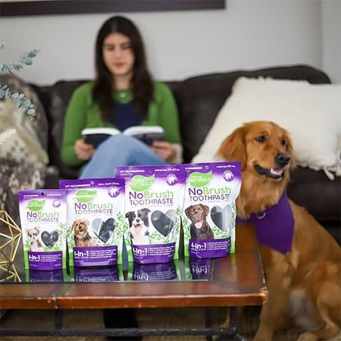 Every Day Naturals Dog Dental Chew, No Brush Toothpaste for Medium Breeds, Freshens Breath, Unique Texture Helps Reduce Plaque & Tartar, 14 oz, 1 Pack in Kuwait