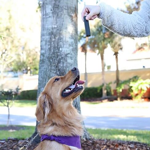 Every Day Naturals Dog Dental Chew, No Brush Toothpaste for Medium Breeds, Freshens Breath, Unique Texture Helps Reduce Plaque & Tartar, 14 oz, 1 Pack in Kuwait