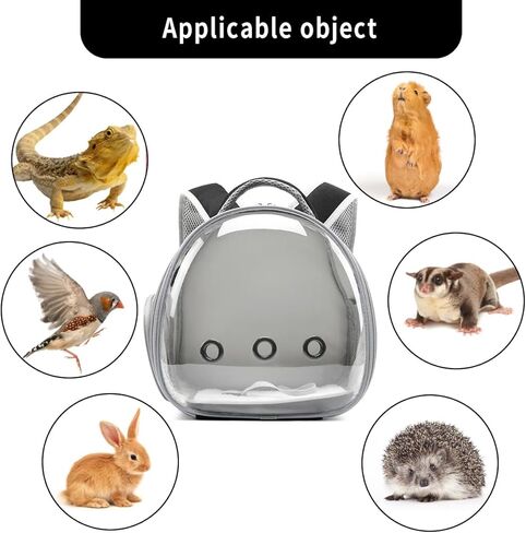 حامل حقيبة ظهر سحلية التنين الملتحي مع مجموعة حزام ومقود، حقيبة ظهر لحمل الحيوانات الصغيرة، حقيبة ظهر لحمل النوافذ الفقاعية، حقيبة ظهر صغيرة لحمل الحيوانات الأليفة، معتمدة من شركات الطيران (أسود) in Kuwait