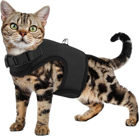 MoNiBloom Soft Cat Harness for Walking Escape Proof and Travel, Kitten Adjustable Breathable Vest Harness - Black, S in Saudi Arabia