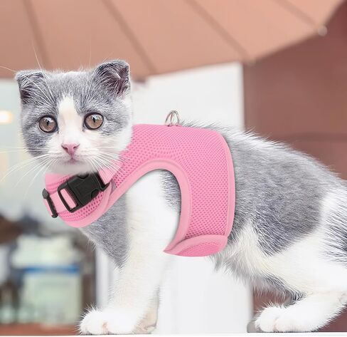 MoNiBloom Soft Cat Harness for Walking Escape Proof and Travel, Kitten Adjustable Breathable Vest Harness - Black, S in Saudi Arabia
