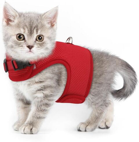 MoNiBloom Soft Cat Harness for Walking Escape Proof and Travel, Kitten Adjustable Breathable Vest Harness - Black, S in Saudi Arabia