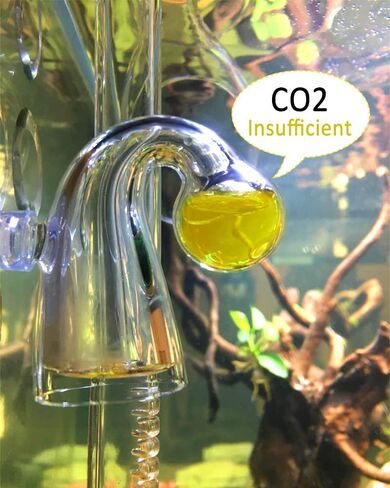 CO2 Diffuser, 3 Spiro Glass CO2 Diffuser, Glass Reactor for Aquarium Plants, Suitable for Tanks 15-50 Gal/60Liter - 200Liter (CO2 Diffuser-Spiral) in Saudi Arabia