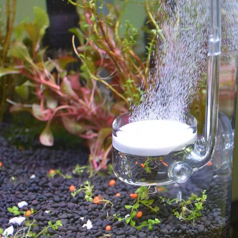 CO2 Diffuser, 3 Spiro Glass CO2 Diffuser, Glass Reactor for Aquarium Plants, Suitable for Tanks 15-50 Gal/60Liter - 200Liter (CO2 Diffuser-Spiral) in Saudi Arabia