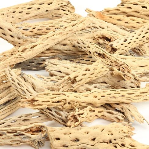 Koyal بالجملة Cholla Wood، 12 بوصة، إكسسوارات حوض السمك والتررم in Saudi Arabia