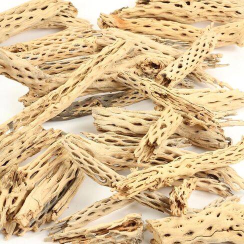 Koyal بالجملة Cholla Wood، 12 بوصة، إكسسوارات حوض السمك والتررم in Saudi Arabia