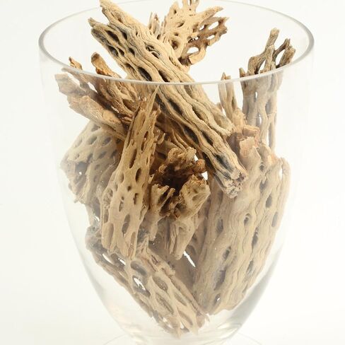 Koyal بالجملة Cholla Wood، 12 بوصة، إكسسوارات حوض السمك والتررم in Saudi Arabia