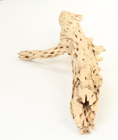 Koyal بالجملة Cholla Wood، 12 بوصة، إكسسوارات حوض السمك والتررم in Kuwait