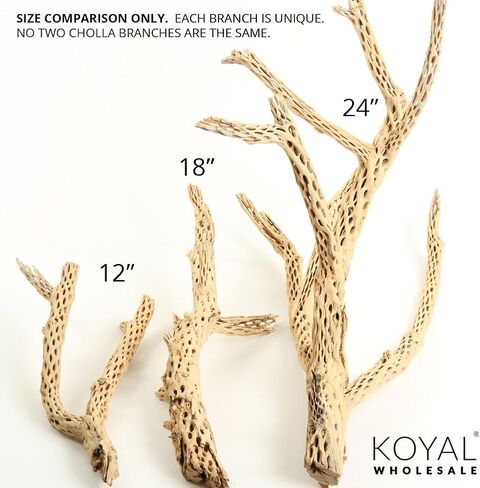 Koyal بالجملة Cholla Wood، 12 بوصة، إكسسوارات حوض السمك والتررم in Kuwait