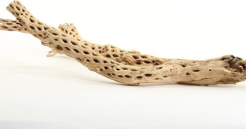 Koyal بالجملة Cholla Wood، 12 بوصة، إكسسوارات حوض السمك والتررم in Kuwait