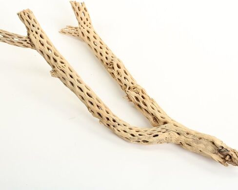Koyal بالجملة Cholla Wood، 12 بوصة، إكسسوارات حوض السمك والتررم in Kuwait