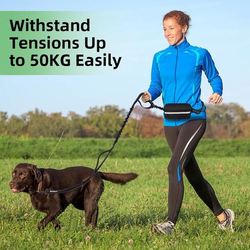مقود كلب فيلورن بدون استخدام اليدين مع حقيبة، مقود خصر قابل للتعديل لتمشية الكلاب، مقود الجري للكلاب المتوسطة والكبيرة، مقود خصر للكلاب بمقابض مزدوجة وحبال مطاطية متينة للركض والمشي لمسافات طويلة (أسود) in Kuwait