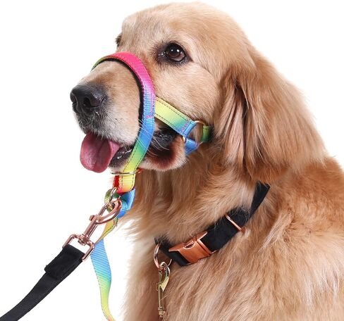 طوق رأس الكلب بألوان قوس قزح يمنع الكلاب المتوسطة والكبيرة من سحب المقود للمشي (قوس قزح، M) in Kuwait