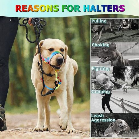 طوق رأس الكلب بألوان قوس قزح يمنع الكلاب المتوسطة والكبيرة من سحب المقود للمشي (قوس قزح، M) in Kuwait