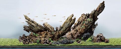 LANDEN Dragon Wood Natural Driftwood for Aquarium Freshwater Tank Reptile Habitats, 40L (4~12 inches, 9pcs) in Saudi Arabia