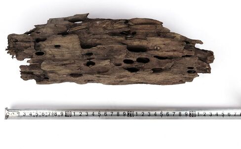 LANDEN Dragon Wood Natural Driftwood for Aquarium Freshwater Tank Reptile Habitats, 40L (4~12 inches, 9pcs) in Saudi Arabia