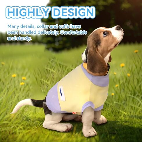 Gauzi 2 Pack Cat Dog Summer Clothes Sun Shirt Shirts Cooling Vest for Small Size Sized Dogs Cats (XX-Large) in Saudi Arabia