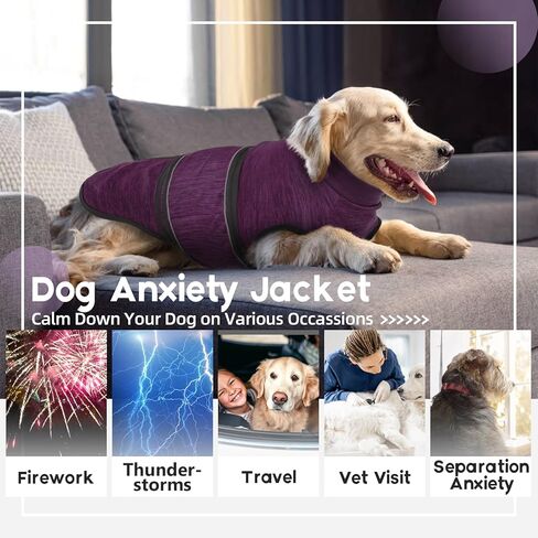 سترة القلق للكلاب - أرجواني، صغير - سترة تخفيف القلق من الألعاب النارية الناعمة القابلة للتنفس للكلاب، الألعاب النارية في الرابع من يوليو، معطف لتخفيف التوتر والقلق لدى الكلاب للعواصف الرعدية، كلب صغير طويل الشعر، بيشون، بيجل in Kuwait