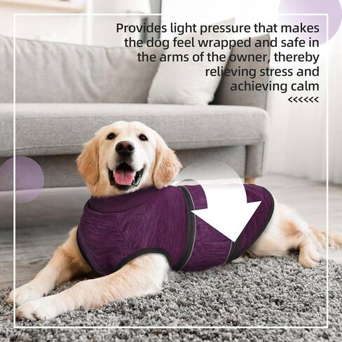 سترة القلق للكلاب - أرجواني، صغير - سترة تخفيف القلق من الألعاب النارية الناعمة القابلة للتنفس للكلاب، الألعاب النارية في الرابع من يوليو، معطف لتخفيف التوتر والقلق لدى الكلاب للعواصف الرعدية، كلب صغير طويل الشعر، بيشون، بيجل in Kuwait