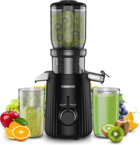 Slow Masticating Machines With Exclusive Filter Technology for High Juice Yield & Easy Clean,Extra Large Feed Chute Cold Press Juicer Machine Fit Whole Fruits Vegetables,Silver Grey in Saudi Arabia