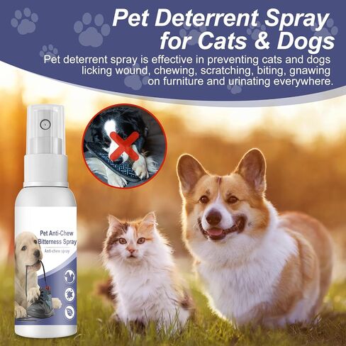 Bitter Apple Spray for Dogs to Stop Chewing, 50ML. No Chew Spray for Dogs Puppies. Dog Training Aids to Stop Chewing. Anti Chew Spray for Dogs. Alcohol-Free, Indoor & Outdoor Safe. in Saudi Arabia