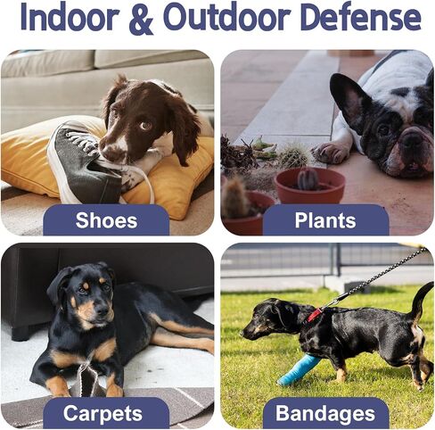 Bitter Apple Spray for Dogs to Stop Chewing, 50ML. No Chew Spray for Dogs Puppies. Dog Training Aids to Stop Chewing. Anti Chew Spray for Dogs. Alcohol-Free, Indoor & Outdoor Safe. in Saudi Arabia