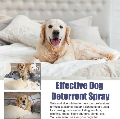 Bitter Apple Spray for Dogs to Stop Chewing, 50ML. No Chew Spray for Dogs Puppies. Dog Training Aids to Stop Chewing. Anti Chew Spray for Dogs. Alcohol-Free, Indoor & Outdoor Safe. in Saudi Arabia